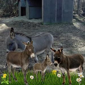 Meet your Posher, Terri